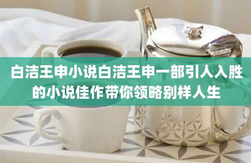 白洁王申小说白洁王申一部引人入胜的小说佳作带你领略别样人生