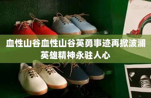 血性山谷血性山谷英勇事迹再掀波澜英雄精神永驻人心