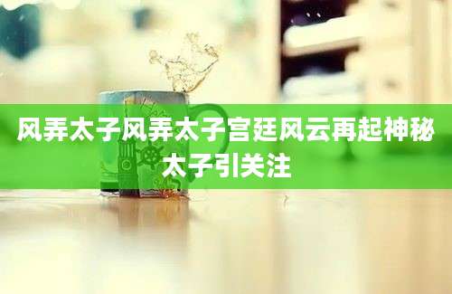 风弄太子风弄太子宫廷风云再起神秘太子引关注