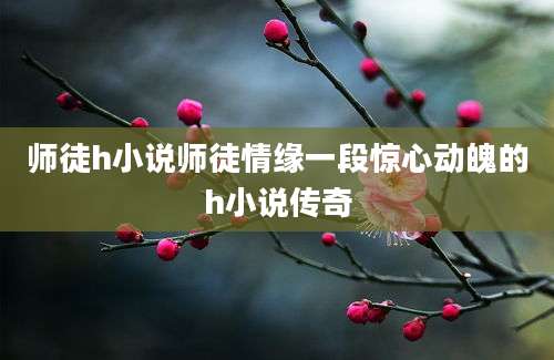 师徒h小说师徒情缘一段惊心动魄的h小说传奇
