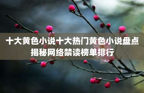 十大黄色小说十大热门黄色小说盘点揭秘网络禁读榜单排行
