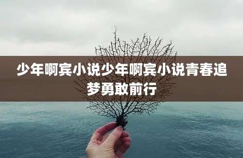 少年啊宾小说少年啊宾小说青春追梦勇敢前行