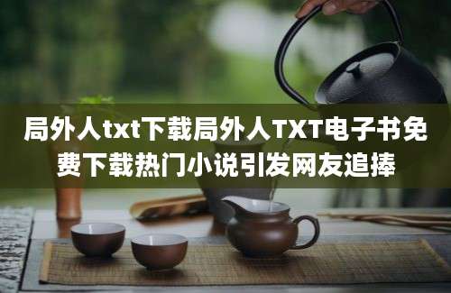 局外人txt下载局外人TXT电子书免费下载热门小说引发网友追捧