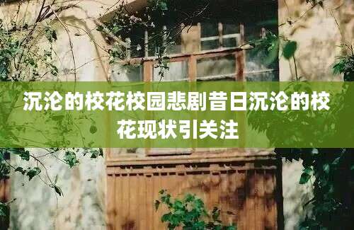 沉沦的校花校园悲剧昔日沉沦的校花现状引关注