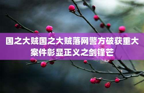国之大贼国之大贼落网警方破获重大案件彰显正义之剑锋芒