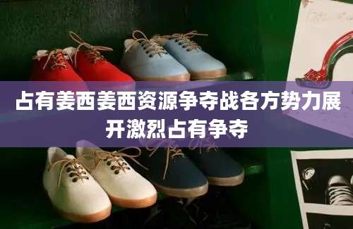 占有姜西姜西资源争夺战各方势力展开激烈占有争夺