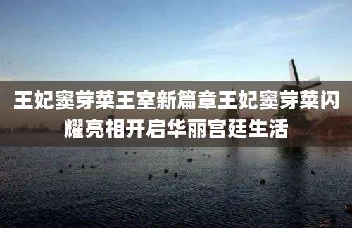 王妃窦芽菜王室新篇章王妃窦芽菜闪耀亮相开启华丽宫廷生活