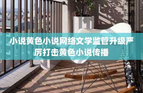 小说黄色小说网络文学监管升级严厉打击黄色小说传播