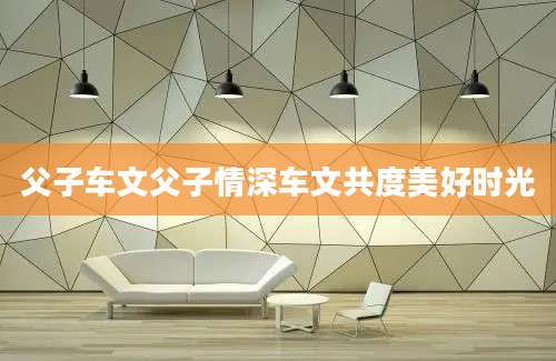 父子车文父子情深车文共度美好时光