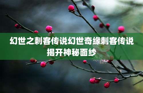 幻世之刺客传说幻世奇缘刺客传说揭开神秘面纱