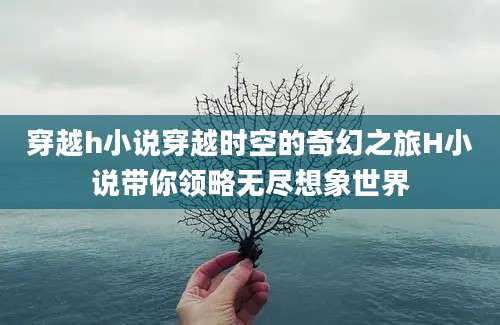 穿越h小说穿越时空的奇幻之旅H小说带你领略无尽想象世界