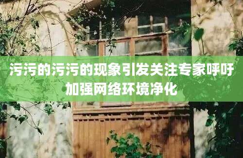 污污的污污的现象引发关注专家呼吁加强网络环境净化