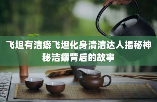 飞坦有洁癖飞坦化身清洁达人揭秘神秘洁癖背后的故事