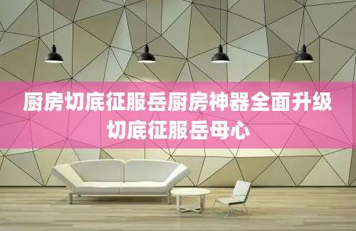 厨房切底征服岳厨房神器全面升级切底征服岳母心