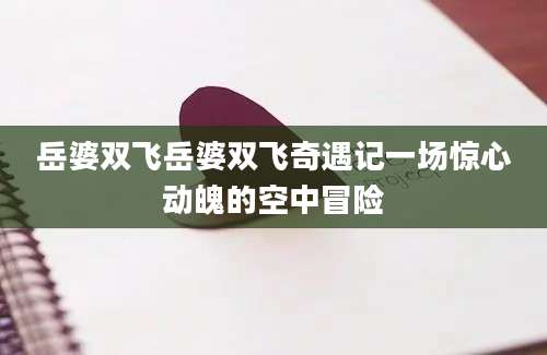 岳婆双飞岳婆双飞奇遇记一场惊心动魄的空中冒险