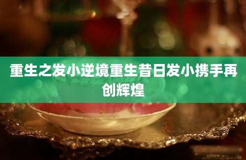 重生之发小逆境重生昔日发小携手再创辉煌