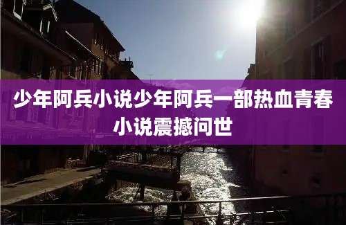 少年阿兵小说少年阿兵一部热血青春小说震撼问世