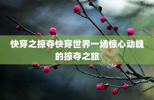 快穿之掠夺快穿世界一场惊心动魄的掠夺之旅