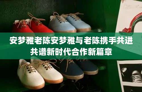 安梦雅老陈安梦雅与老陈携手共进共谱新时代合作新篇章