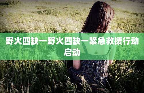 野火四缺一野火四缺一紧急救援行动启动