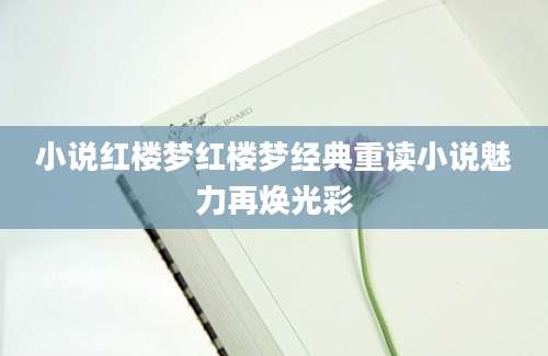 小说红楼梦红楼梦经典重读小说魅力再焕光彩