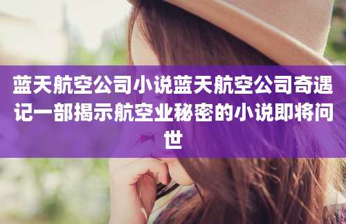 蓝天航空公司小说蓝天航空公司奇遇记一部揭示航空业秘密的小说即将问世