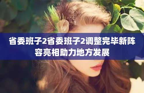 省委班子2省委班子2调整完毕新阵容亮相助力地方发展