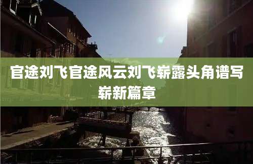 官途刘飞官途风云刘飞崭露头角谱写崭新篇章