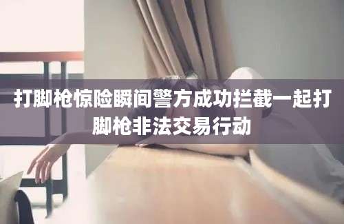 打脚枪惊险瞬间警方成功拦截一起打脚枪非法交易行动