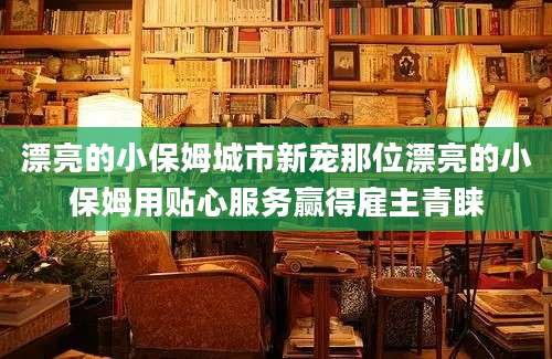 漂亮的小保姆城市新宠那位漂亮的小保姆用贴心服务赢得雇主青睐