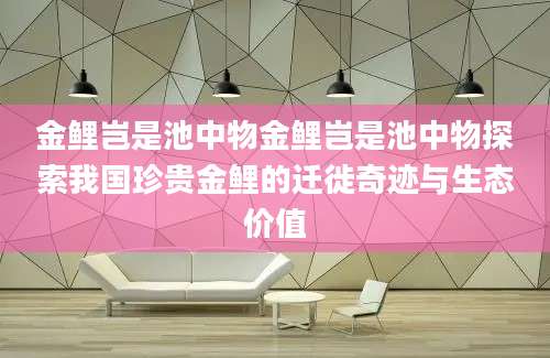 金鲤岂是池中物金鲤岂是池中物探索我国珍贵金鲤的迁徙奇迹与生态价值
