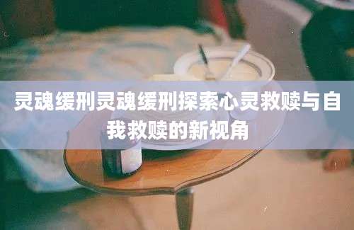 灵魂缓刑灵魂缓刑探索心灵救赎与自我救赎的新视角