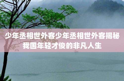 少年丞相世外客少年丞相世外客揭秘我国年轻才俊的非凡人生