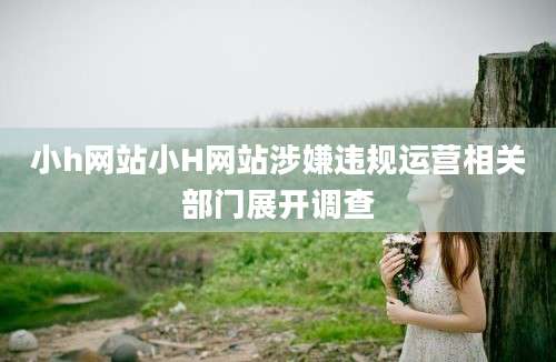 小h网站小H网站涉嫌违规运营相关部门展开调查