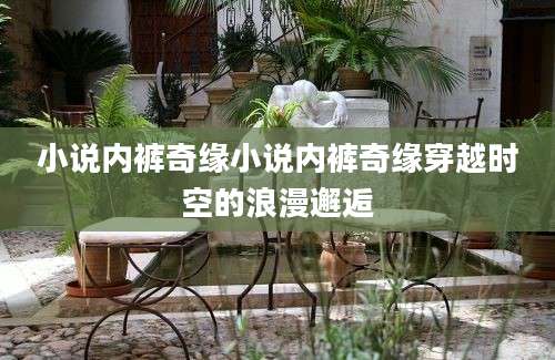 小说内裤奇缘小说内裤奇缘穿越时空的浪漫邂逅