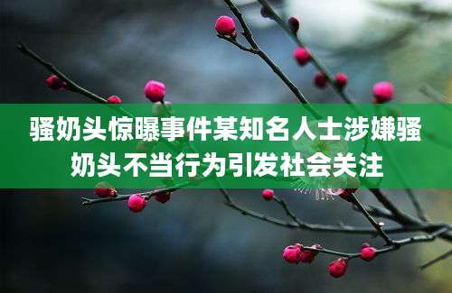骚奶头惊曝事件某知名人士涉嫌骚奶头不当行为引发社会关注