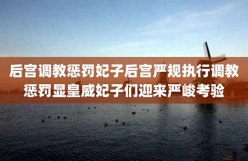 后宫调教惩罚妃子后宫严规执行调教惩罚显皇威妃子们迎来严峻考验