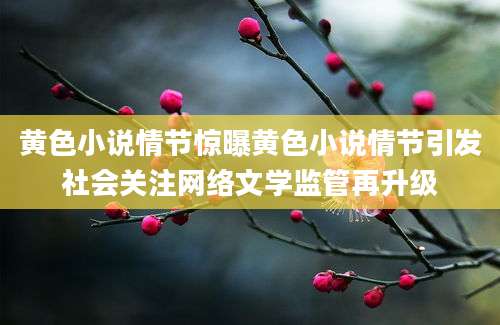 黄色小说情节惊曝黄色小说情节引发社会关注网络文学监管再升级