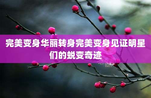 完美变身华丽转身完美变身见证明星们的蜕变奇迹