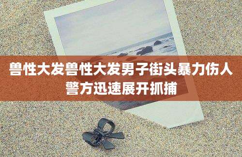 兽性大发兽性大发男子街头暴力伤人警方迅速展开抓捕