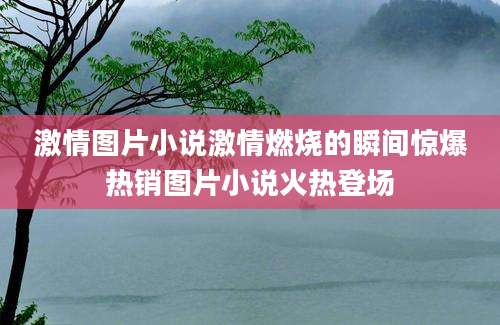 激情图片小说激情燃烧的瞬间惊爆热销图片小说火热登场