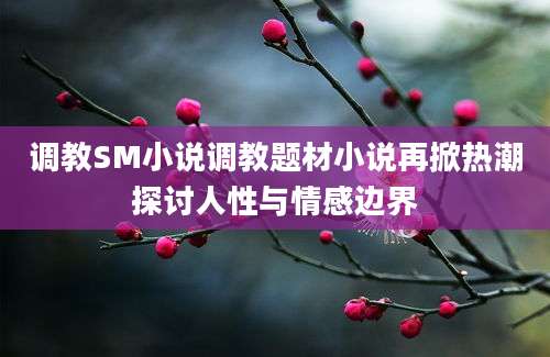 调教SM小说调教题材小说再掀热潮探讨人性与情感边界