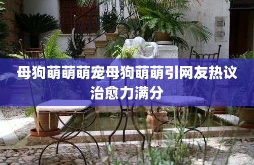 母狗萌萌萌宠母狗萌萌引网友热议治愈力满分