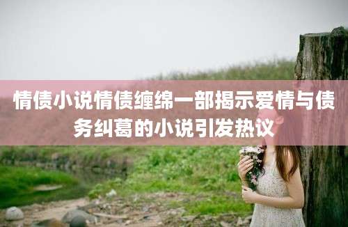 情债小说情债缠绵一部揭示爱情与债务纠葛的小说引发热议