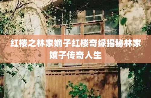 红楼之林家嫡子红楼奇缘揭秘林家嫡子传奇人生