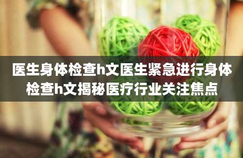 医生身体检查h文医生紧急进行身体检查h文揭秘医疗行业关注焦点