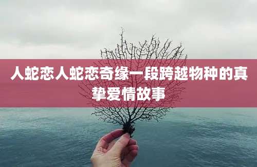 人蛇恋人蛇恋奇缘一段跨越物种的真挚爱情故事