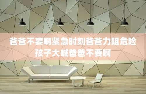 爸爸不要啊紧急时刻爸爸力阻危险孩子大喊爸爸不要啊