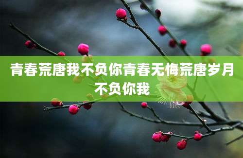 青春荒唐我不负你青春无悔荒唐岁月不负你我