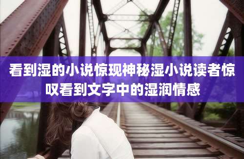 看到湿的小说惊现神秘湿小说读者惊叹看到文字中的湿润情感